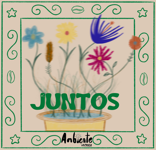 The Juntos Bundle