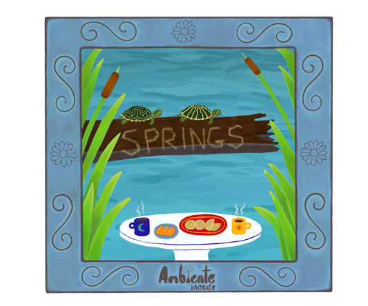 Springs