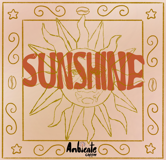 The Sunshine Bundle